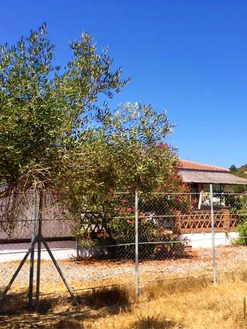 Commercial Property, For Sale