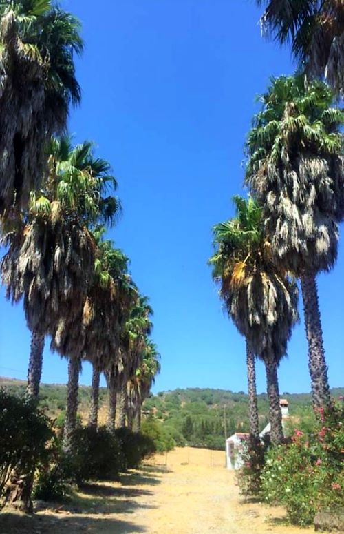 Commercial Property, For Sale