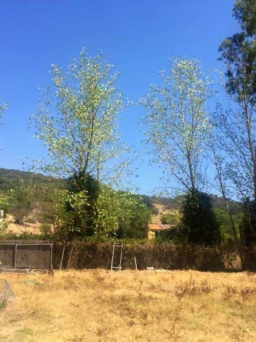 Commercial Property, For Sale