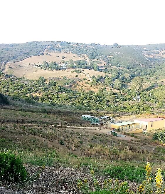 Commercial Property, For Sale