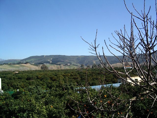 Commercial Property, For Sale