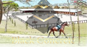 Commercial Property, For Sale