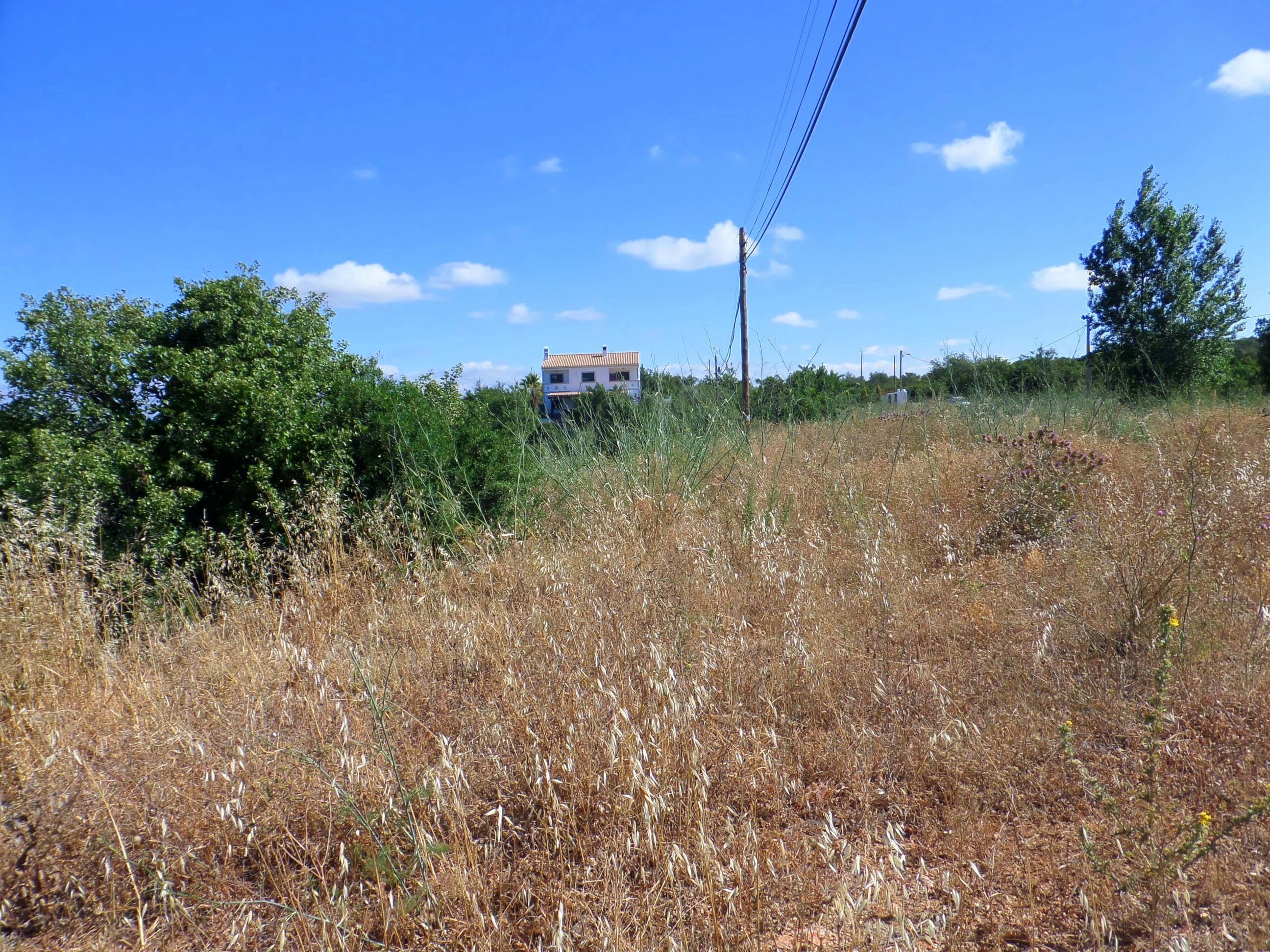 Land, For Sale