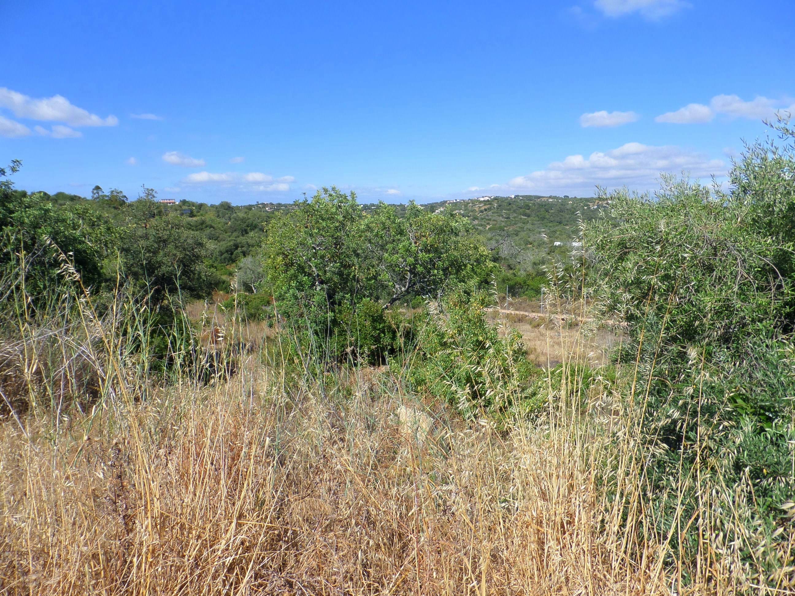 Land, For Sale