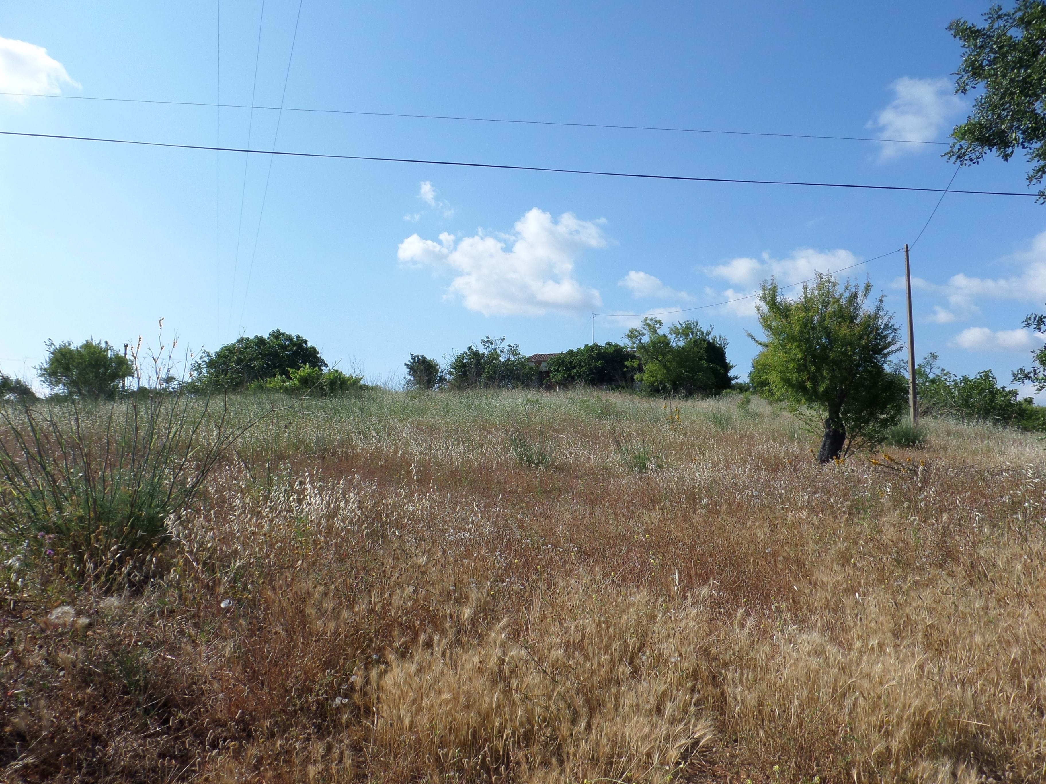 Land, For Sale