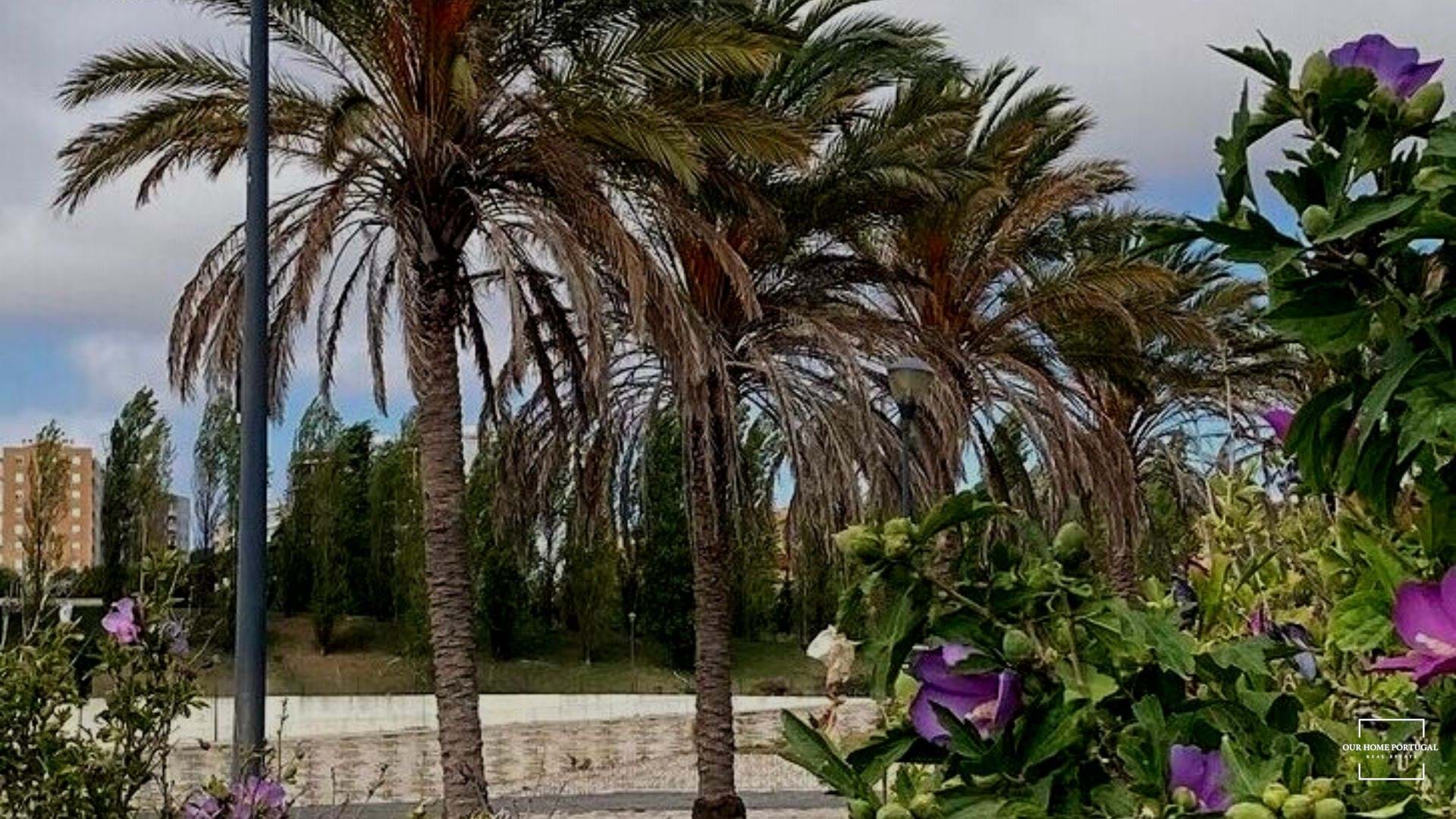 3 Bed, 2 Bath, ApartmentFor Sale, Lisboa, Lisboa, 1100-469