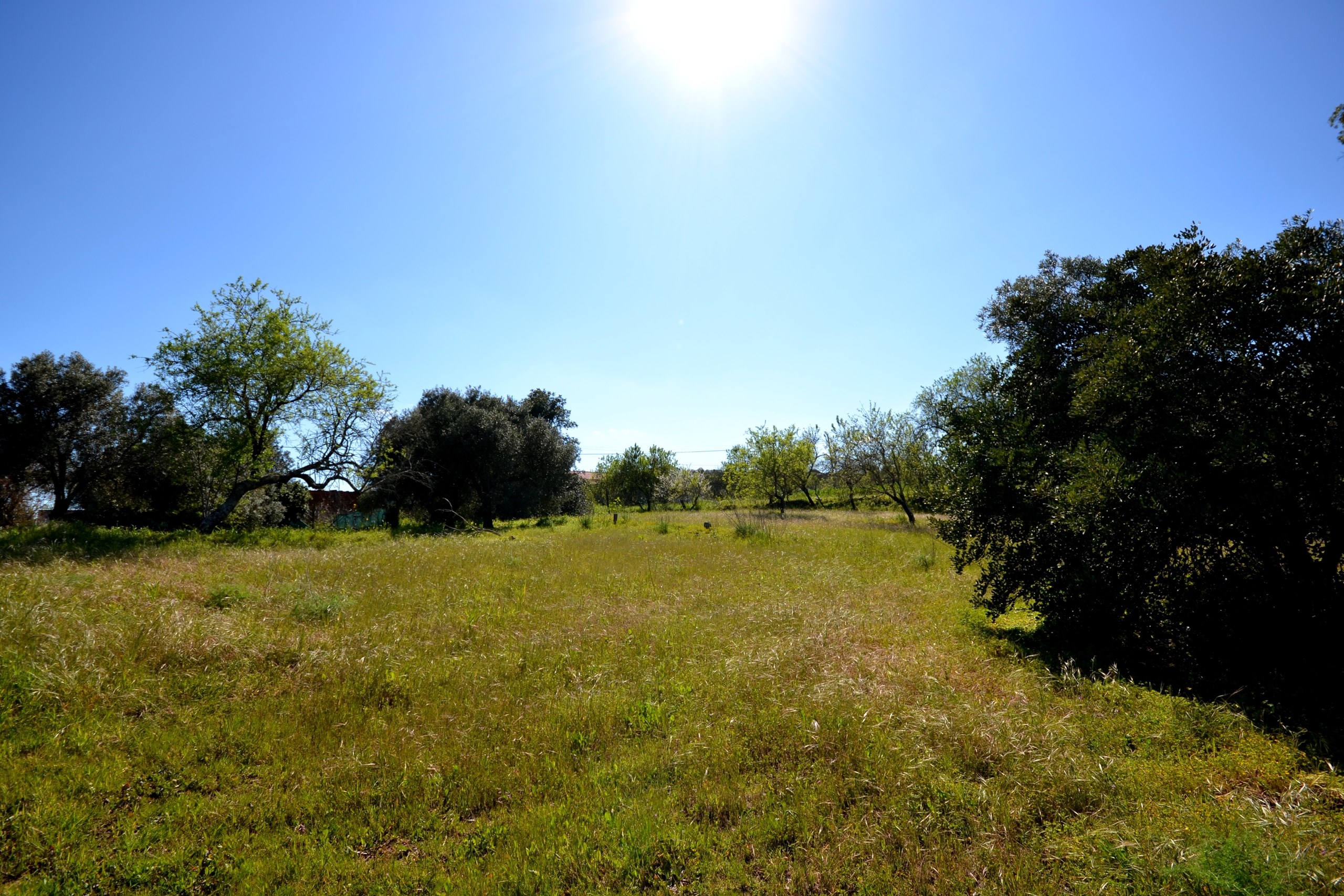 Land, For Sale
