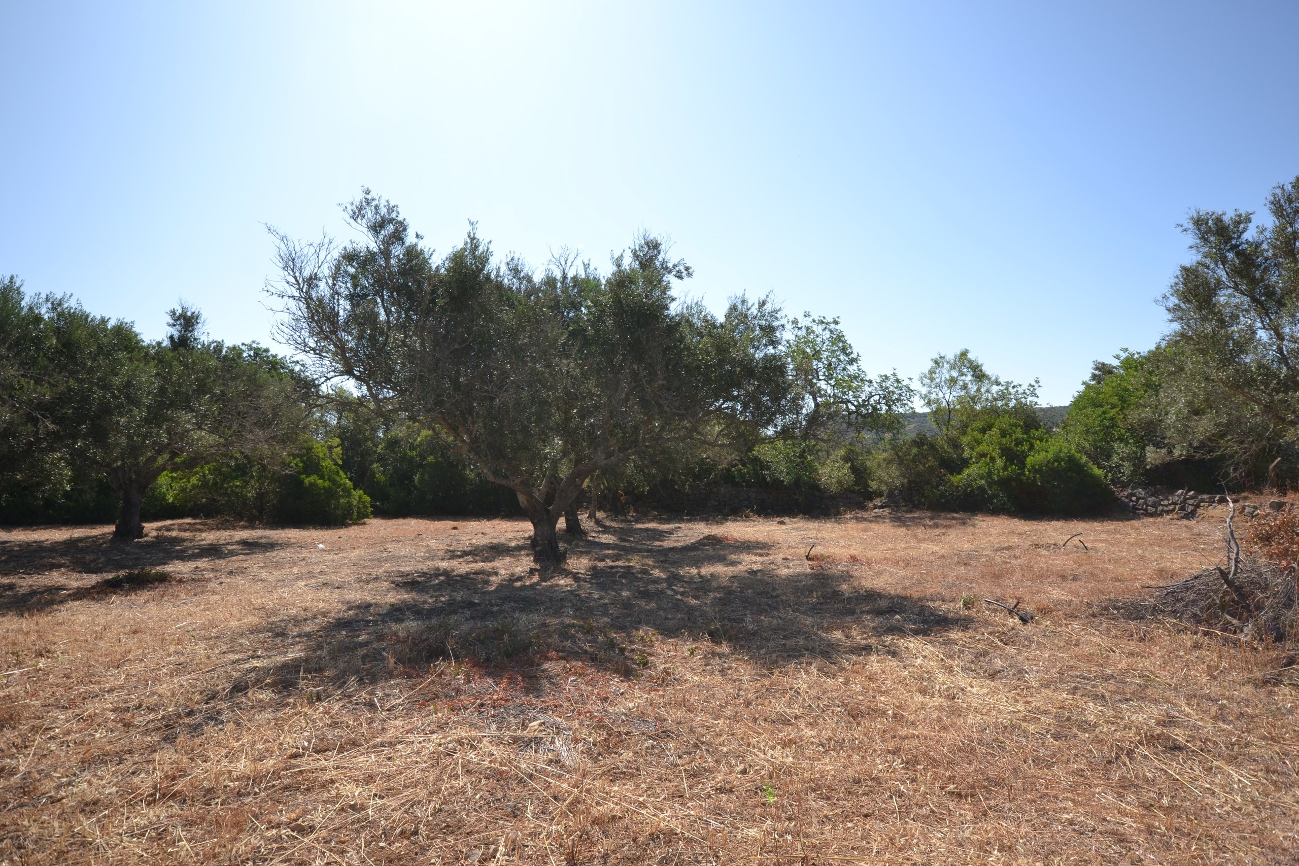 Land, For Sale