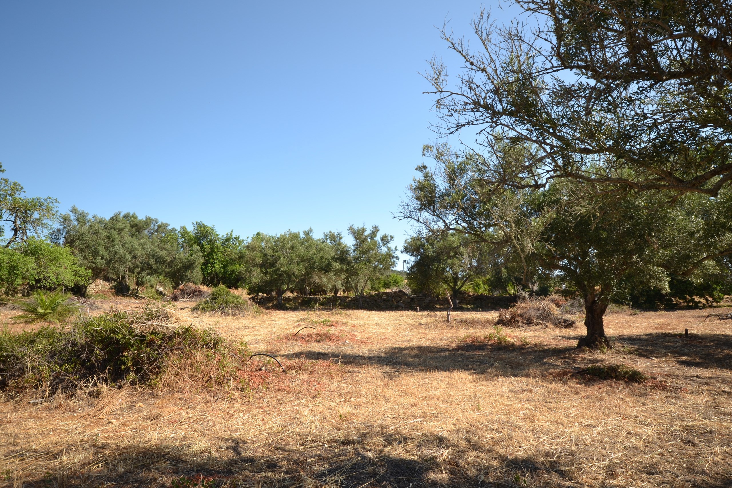 Land, For Sale