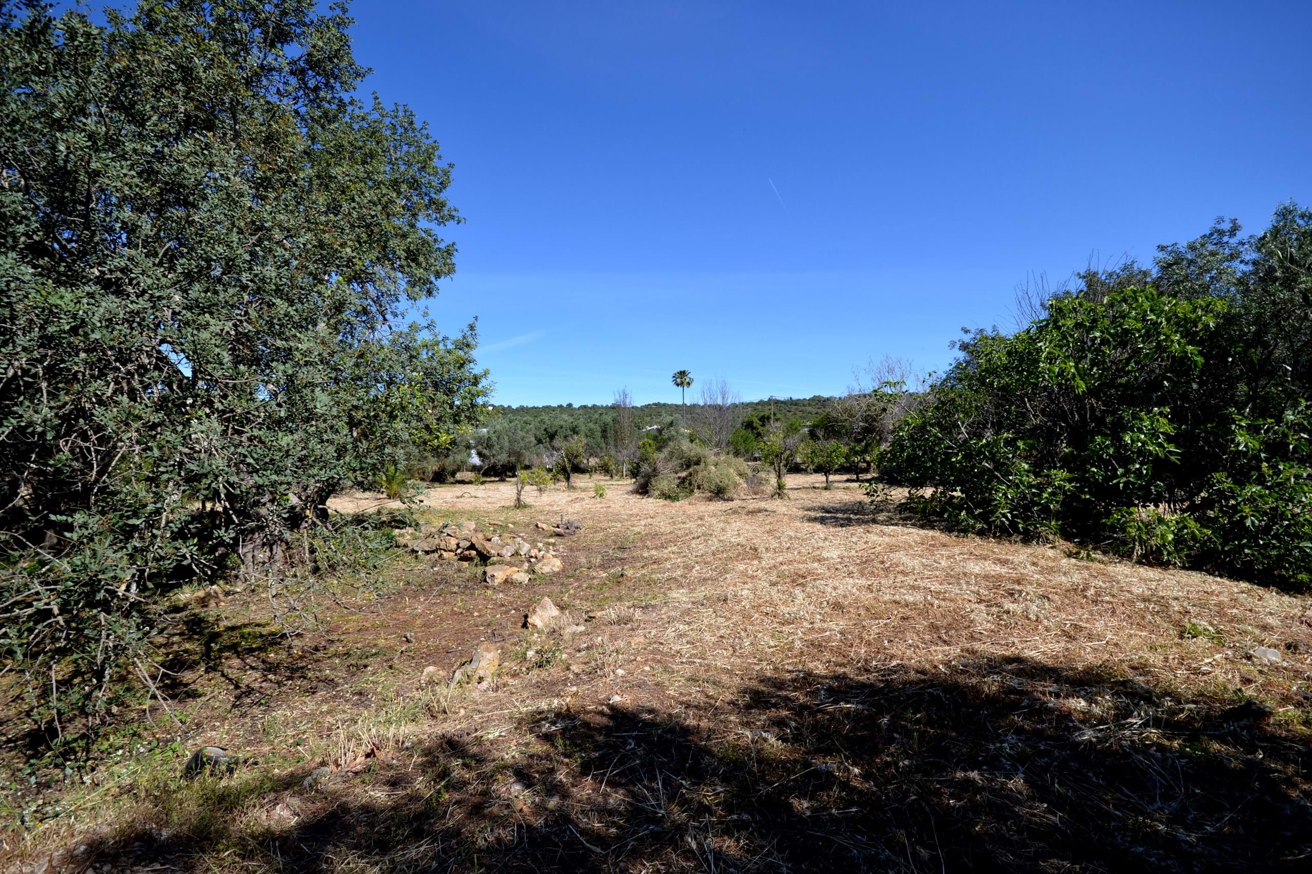 Land, For Sale