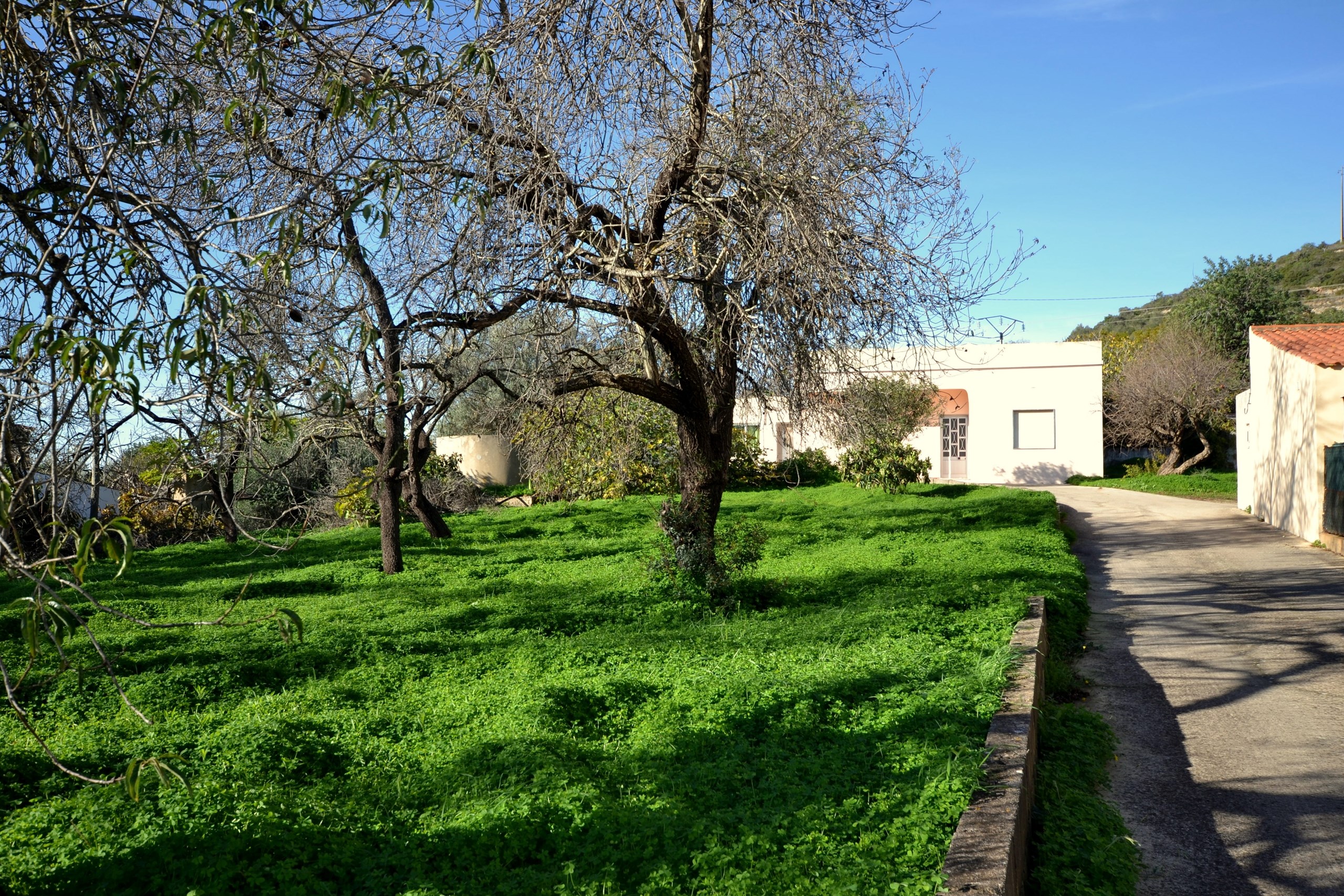 4 Bed, 2 Bath, HouseFor Sale, Loulé, Faro, 8100-289