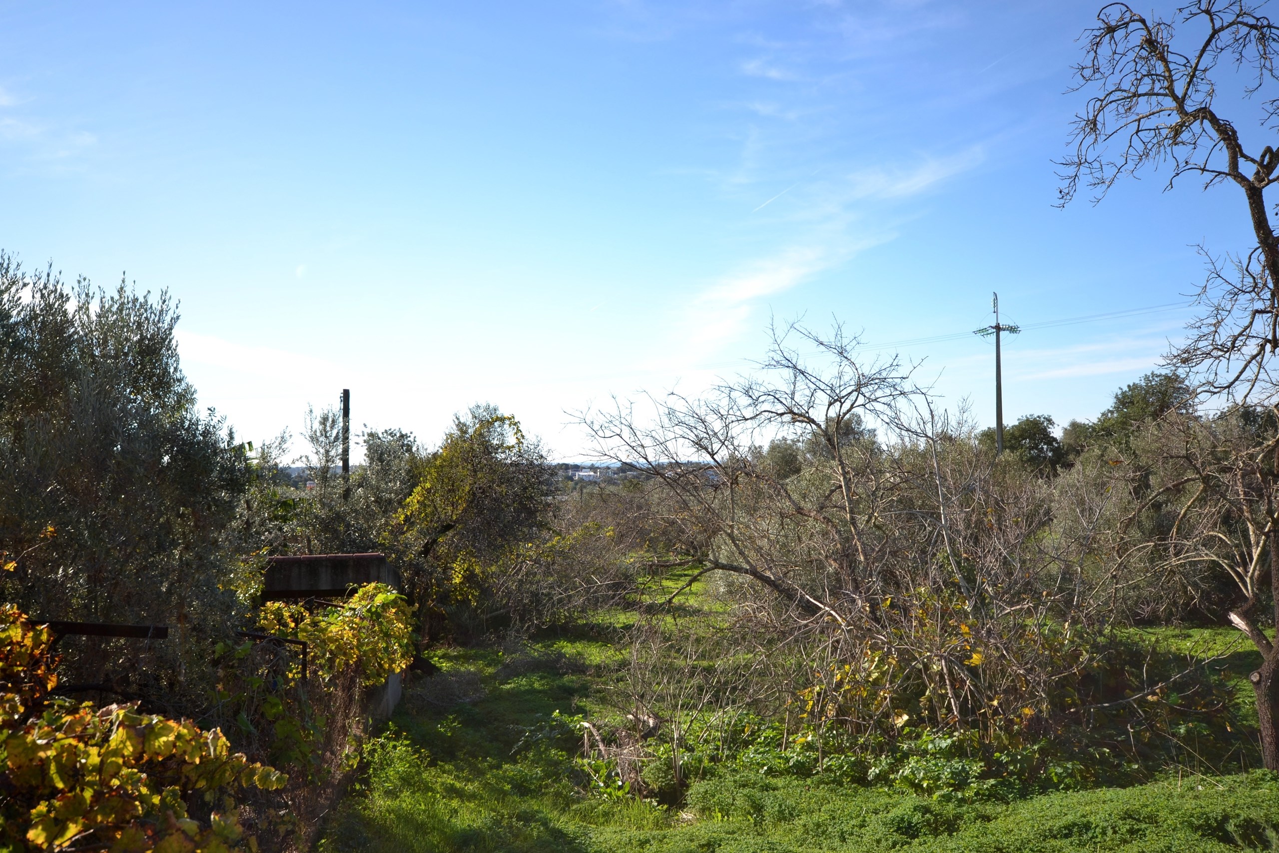 4 Bed, 2 Bath, HouseFor Sale, Loulé, Faro, 8100-289