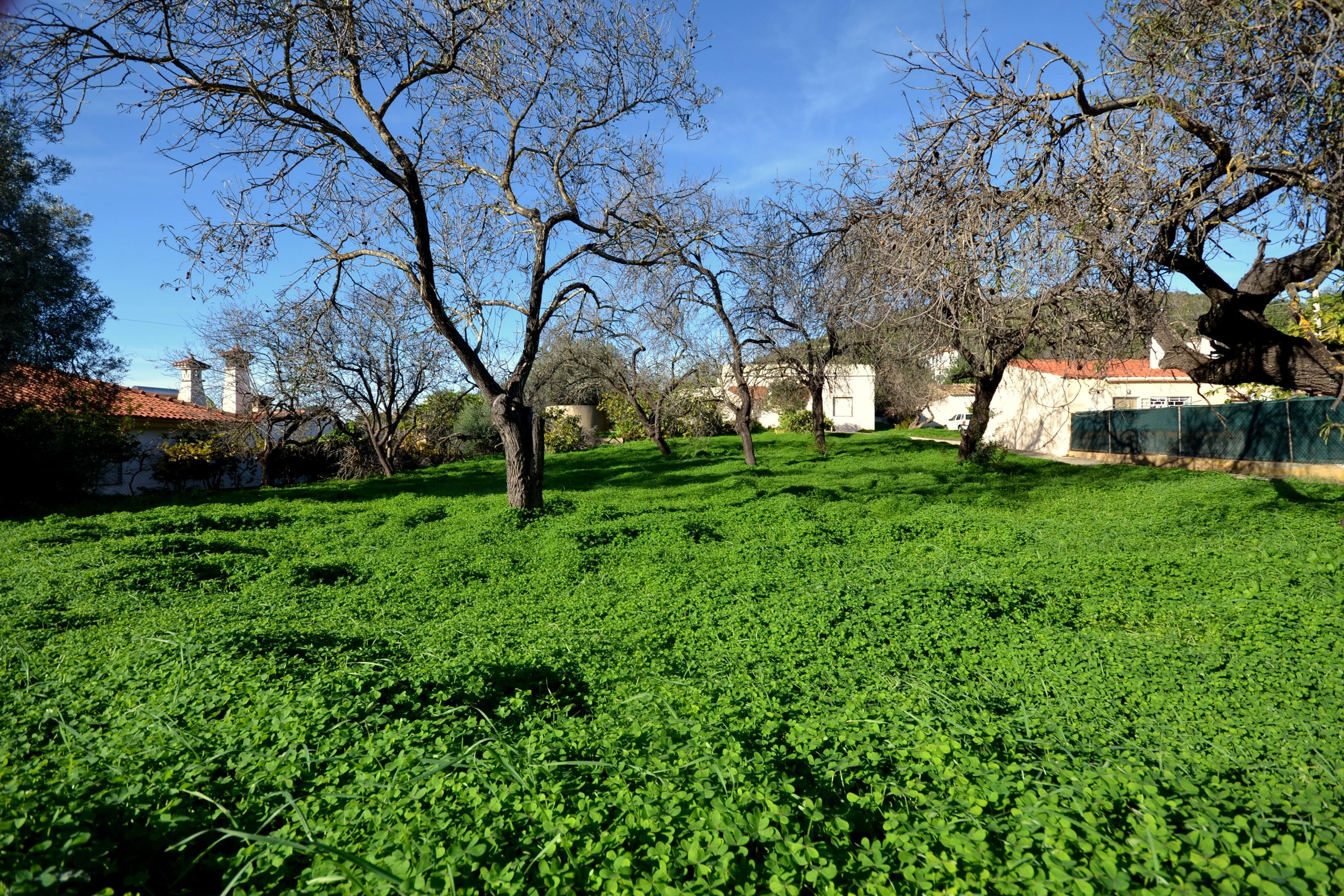 4 Bed, 2 Bath, HouseFor Sale, Loulé, Faro, 8100-289