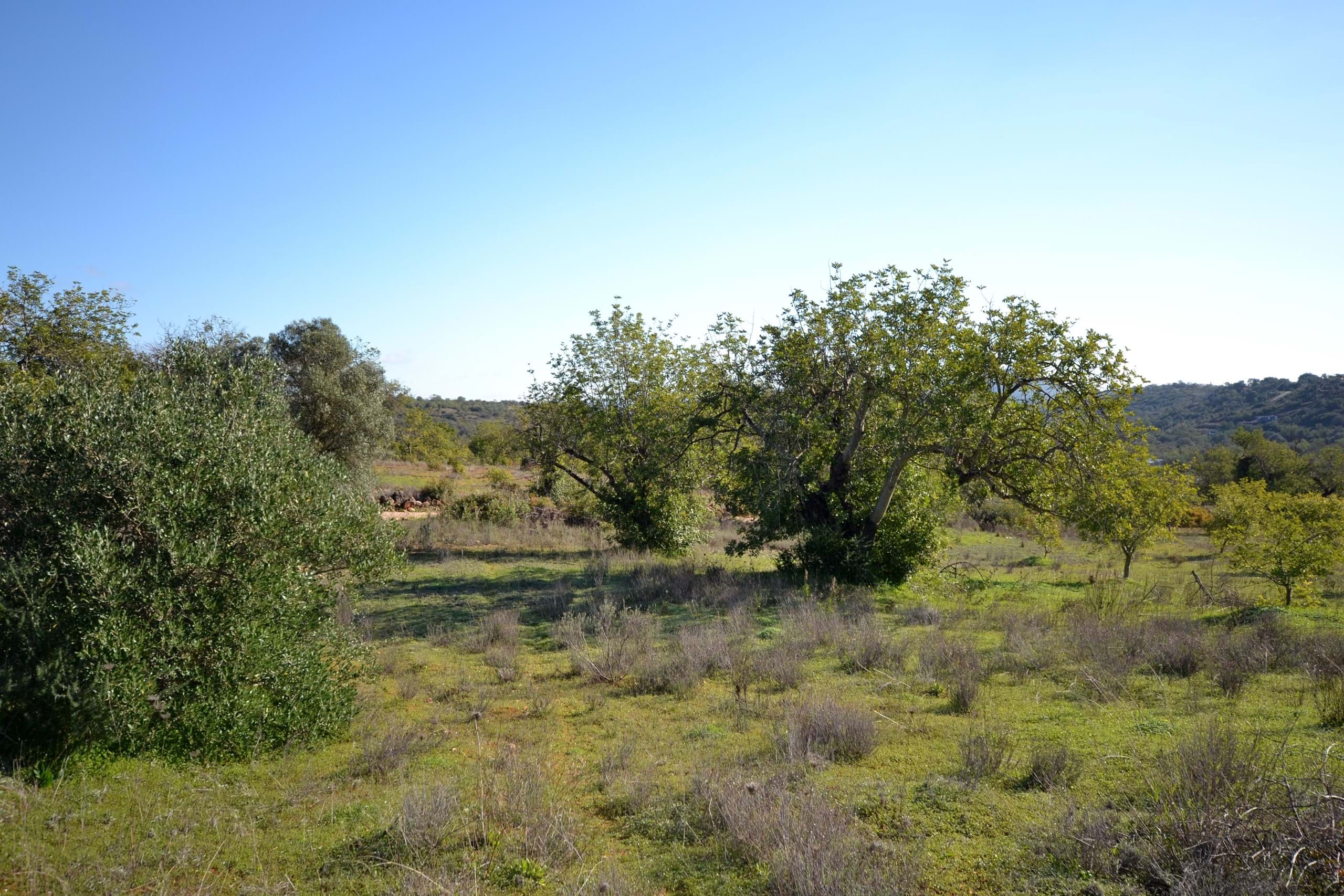 Land, For Sale
