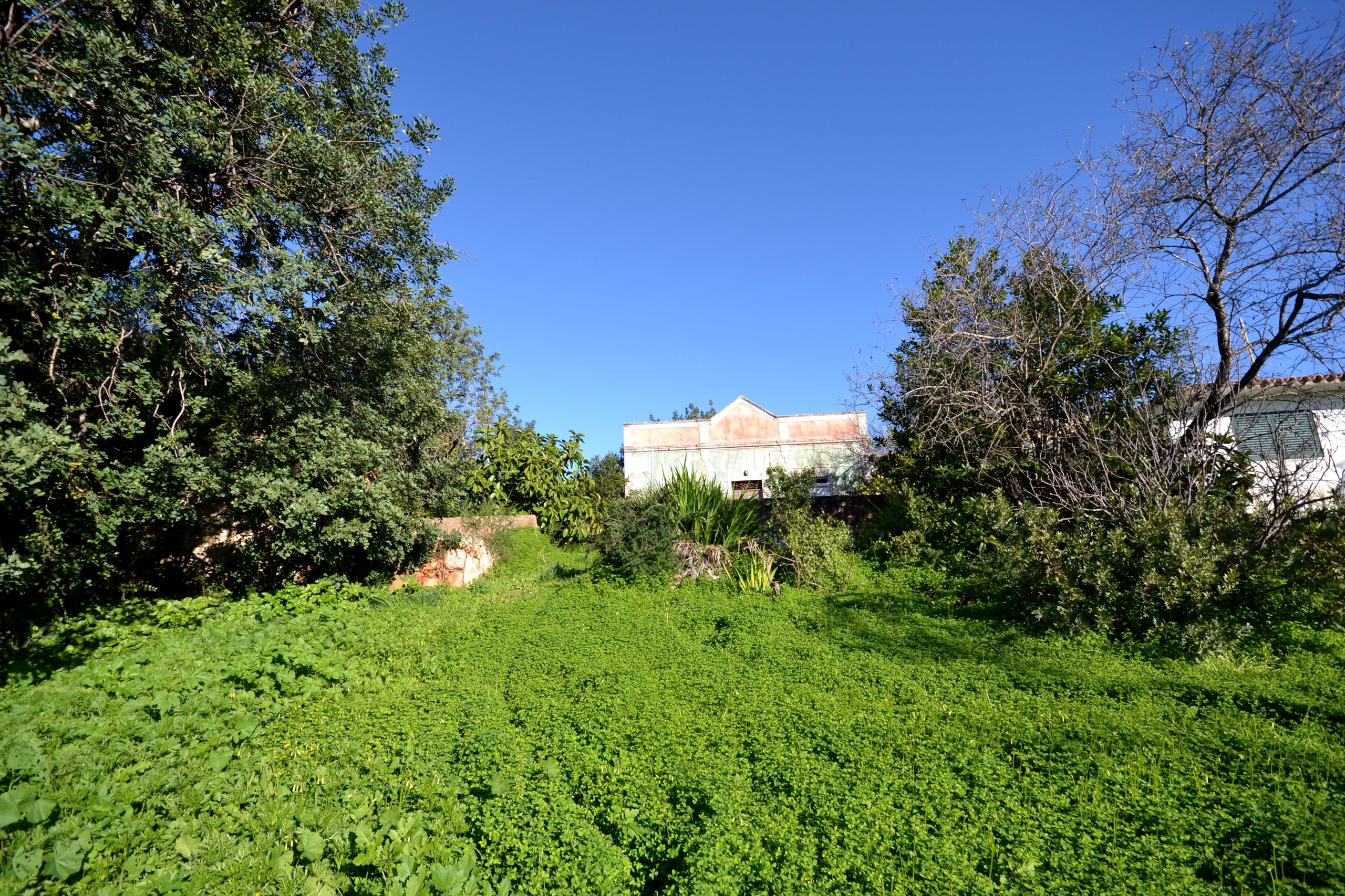 3 Bed, 1 Bath, HouseFor Sale, Loulé, Faro, 8100-289