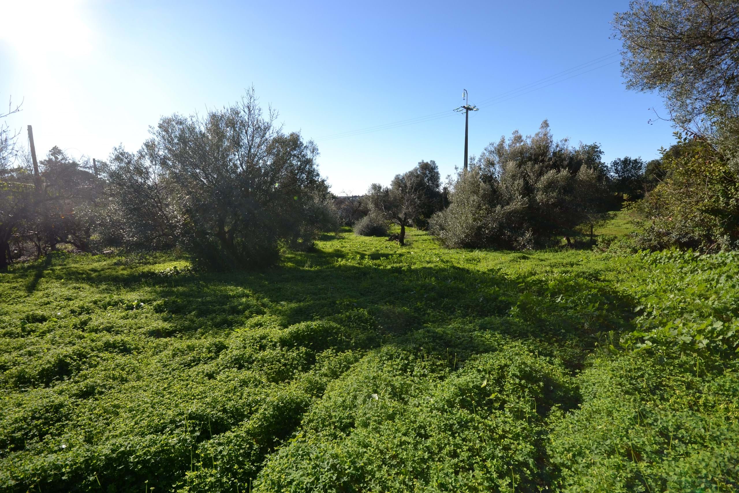 3 Bed, 1 Bath, HouseFor Sale, Loulé, Faro, 8100-289