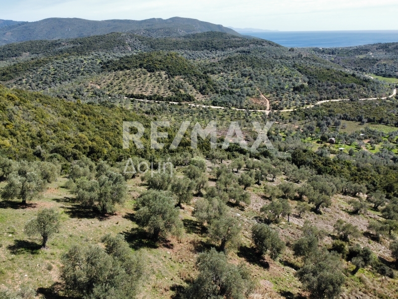 HouseFor Sale, Milina, Sipiada, Magnesia