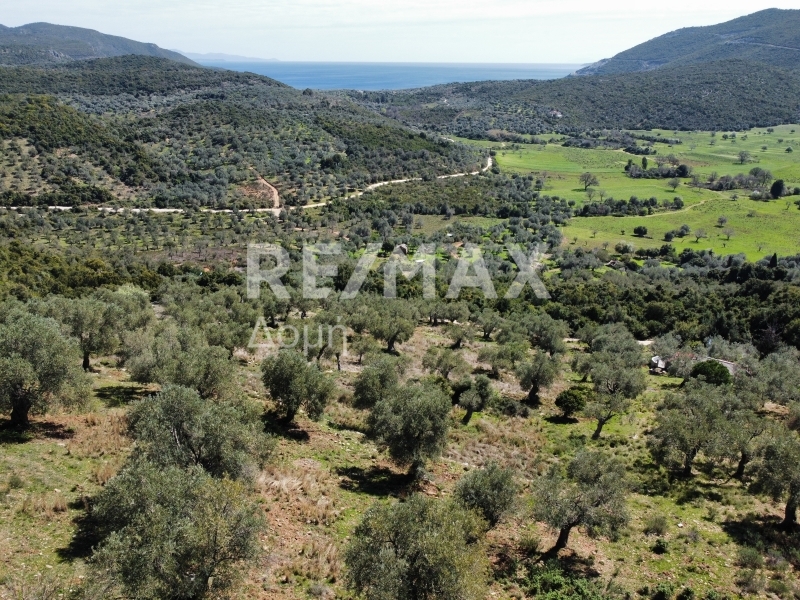 HouseFor Sale, Milina, Sipiada, Magnesia