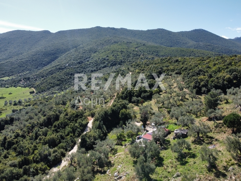 HouseFor Sale, Milina, Sipiada, Magnesia