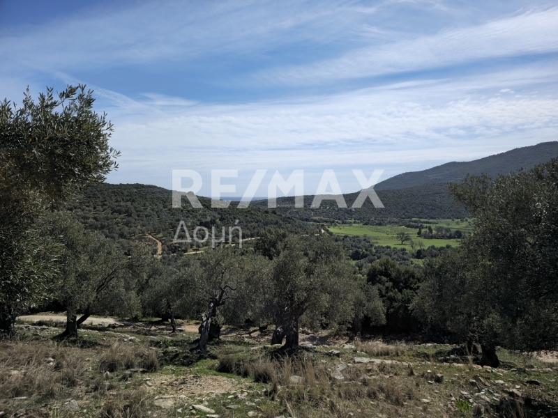 HouseFor Sale, Milina, Sipiada, Magnesia