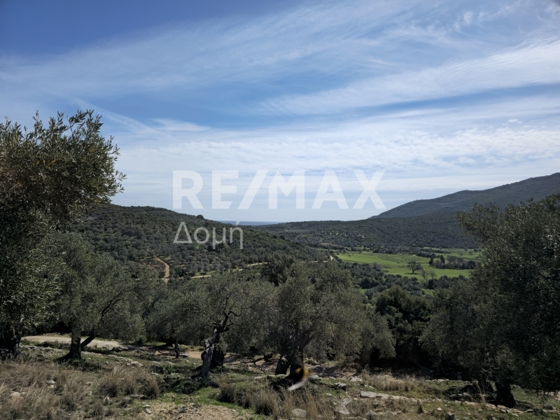 HouseFor Sale, Milina, Sipiada, Magnesia