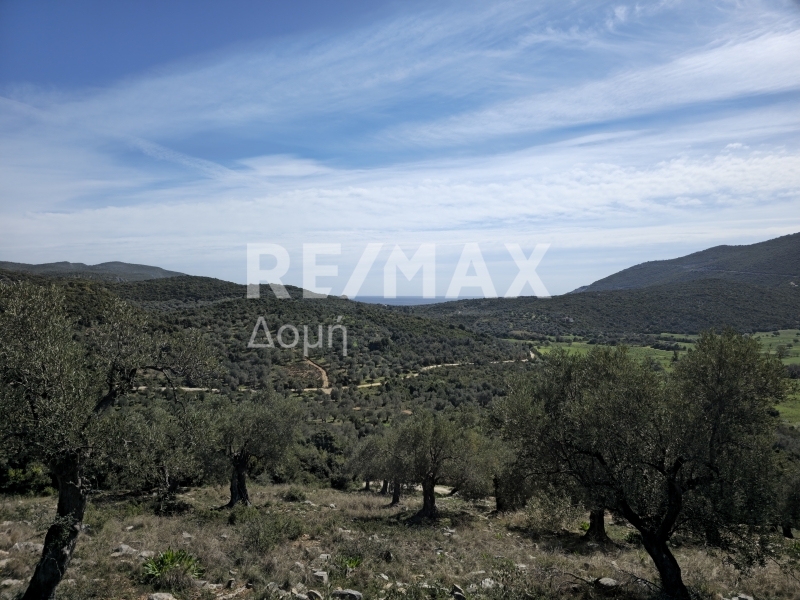 HouseFor Sale, Milina, Sipiada, Magnesia