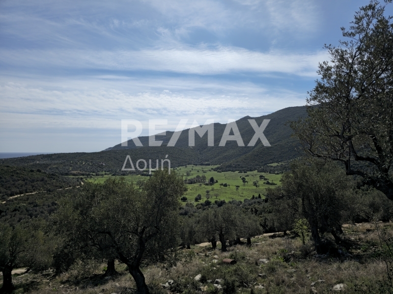 HouseFor Sale, Milina, Sipiada, Magnesia