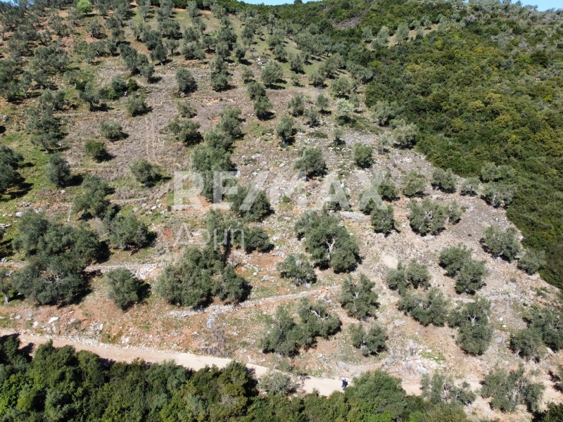 HouseFor Sale, Milina, Sipiada, Magnesia