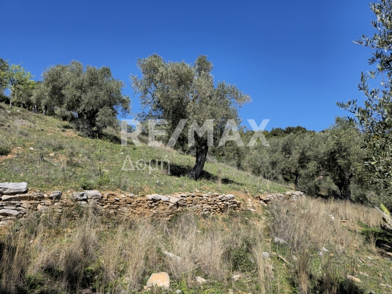 HouseFor Sale, Milina, Sipiada, Magnesia