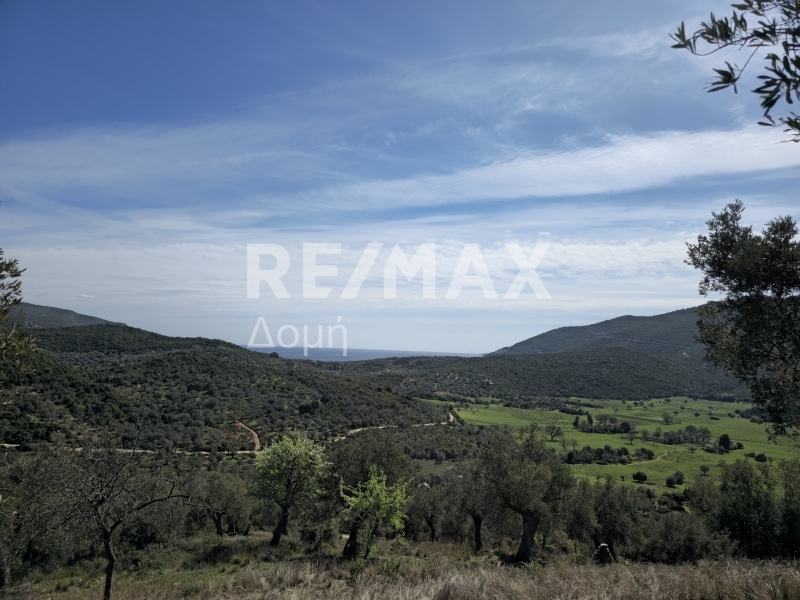 HouseFor Sale, Milina, Sipiada, Magnesia