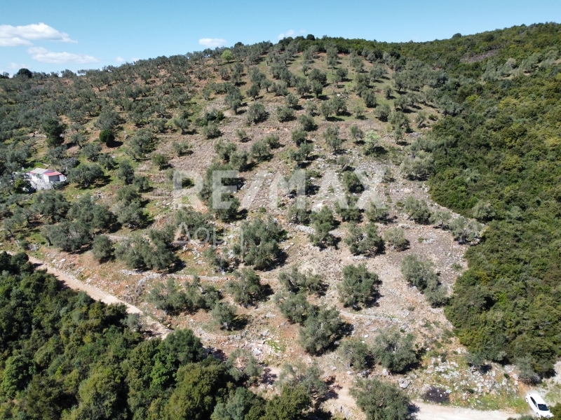 HouseFor Sale, Milina, Sipiada, Magnesia