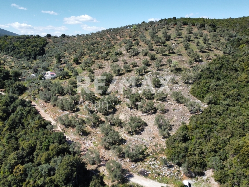 HouseFor Sale, Milina, Sipiada, Magnesia