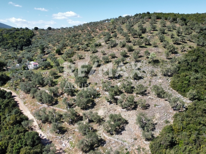 HouseFor Sale, Milina, Sipiada, Magnesia