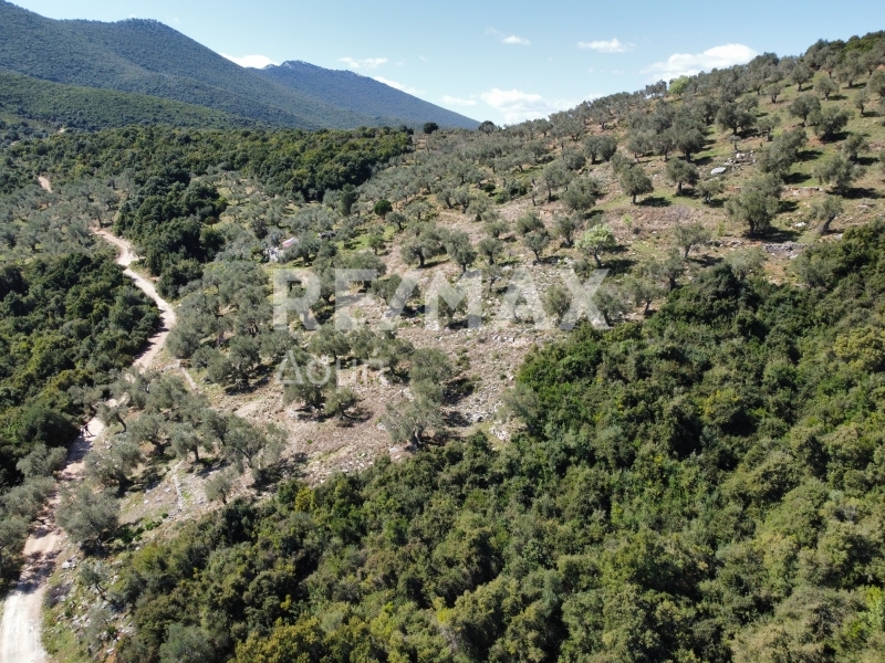 HouseFor Sale, Milina, Sipiada, Magnesia