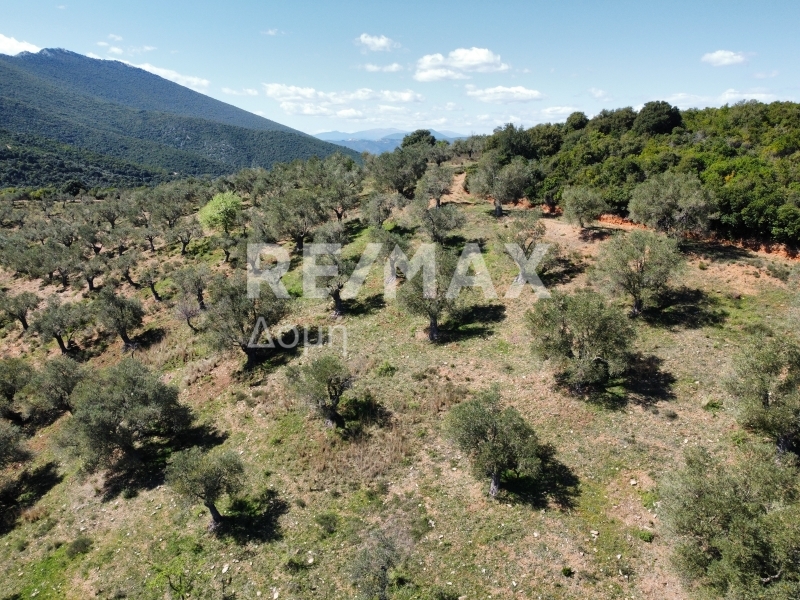 HouseFor Sale, Milina, Sipiada, Magnesia