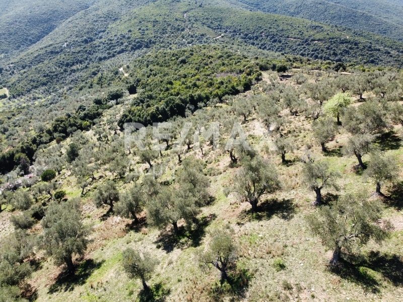 HouseFor Sale, Milina, Sipiada, Magnesia