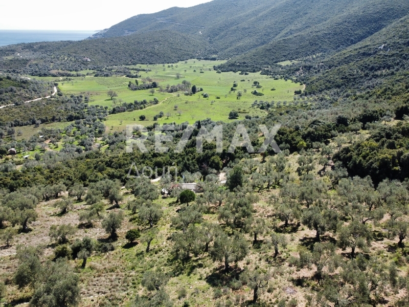 HouseFor Sale, Milina, Sipiada, Magnesia