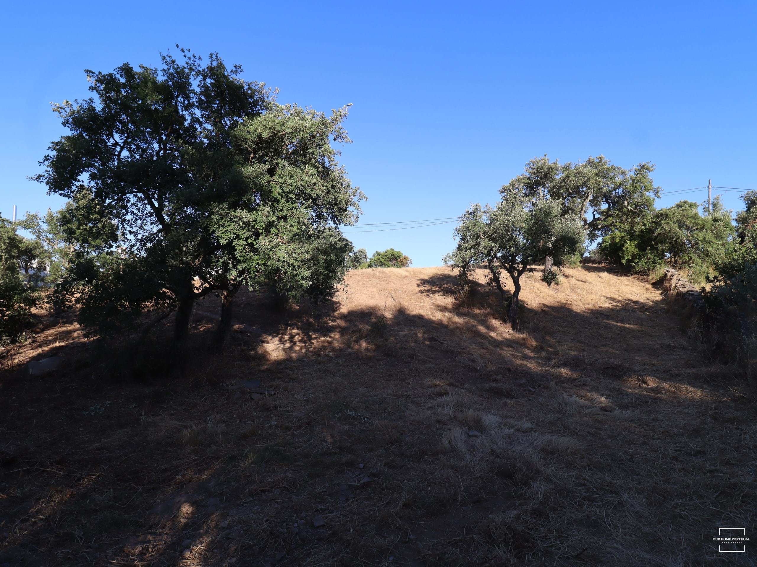 Land, For Sale