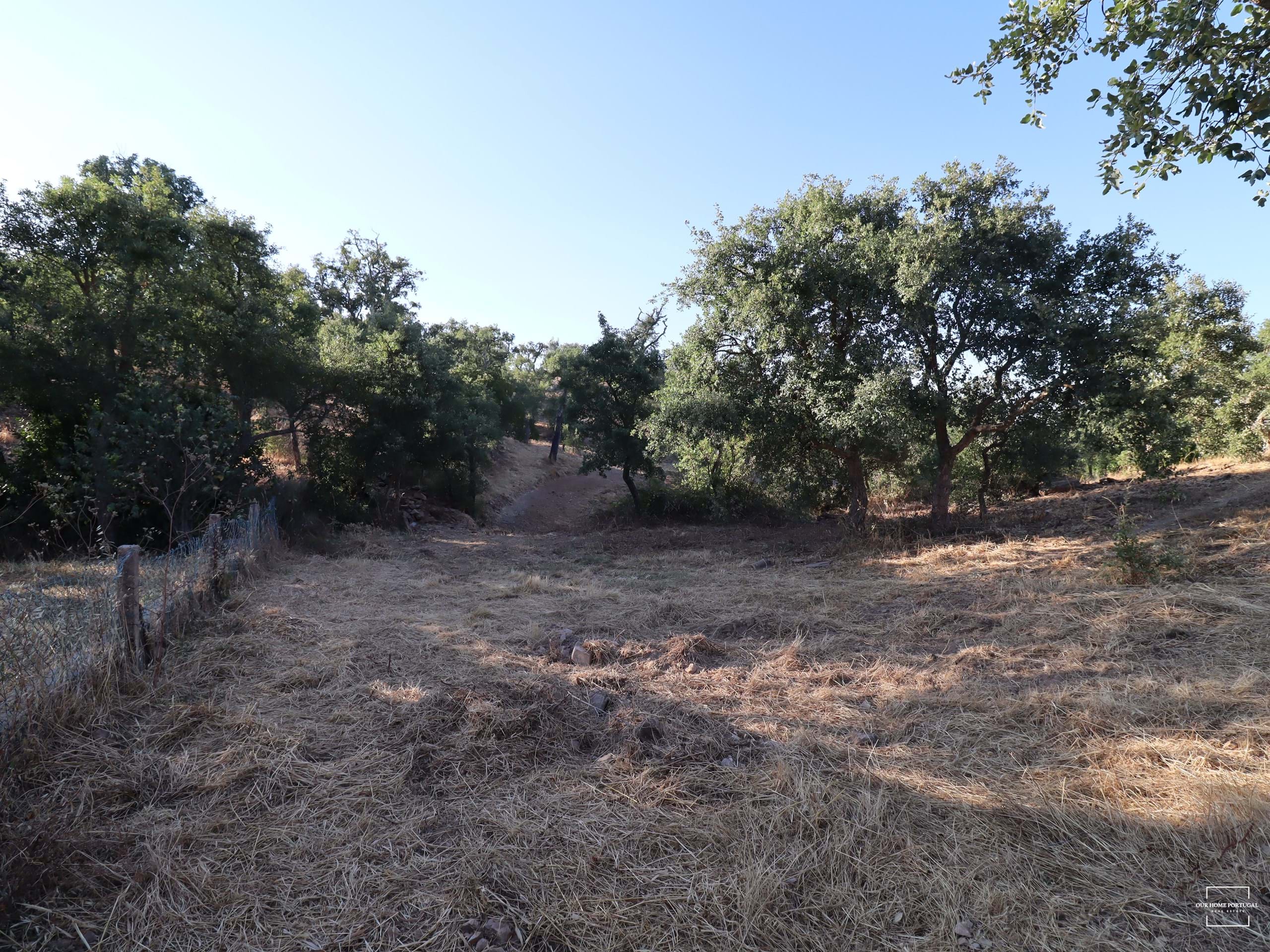 Land, For Sale