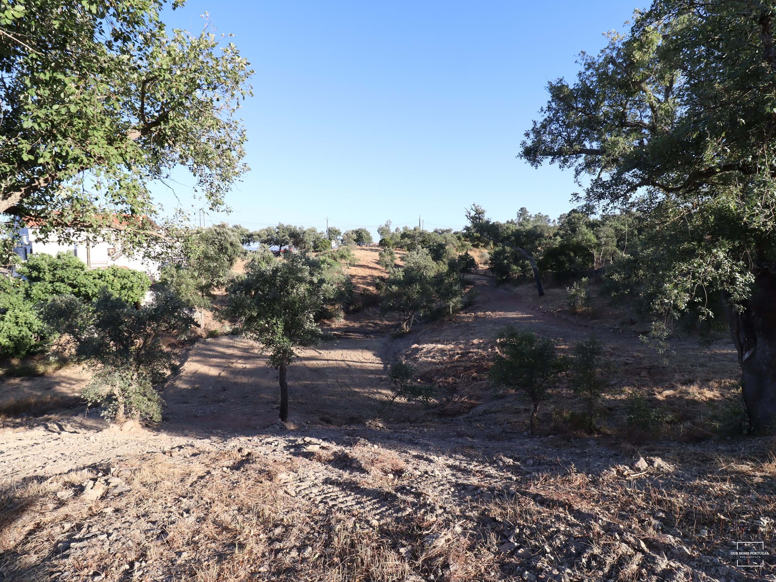 Land, For Sale