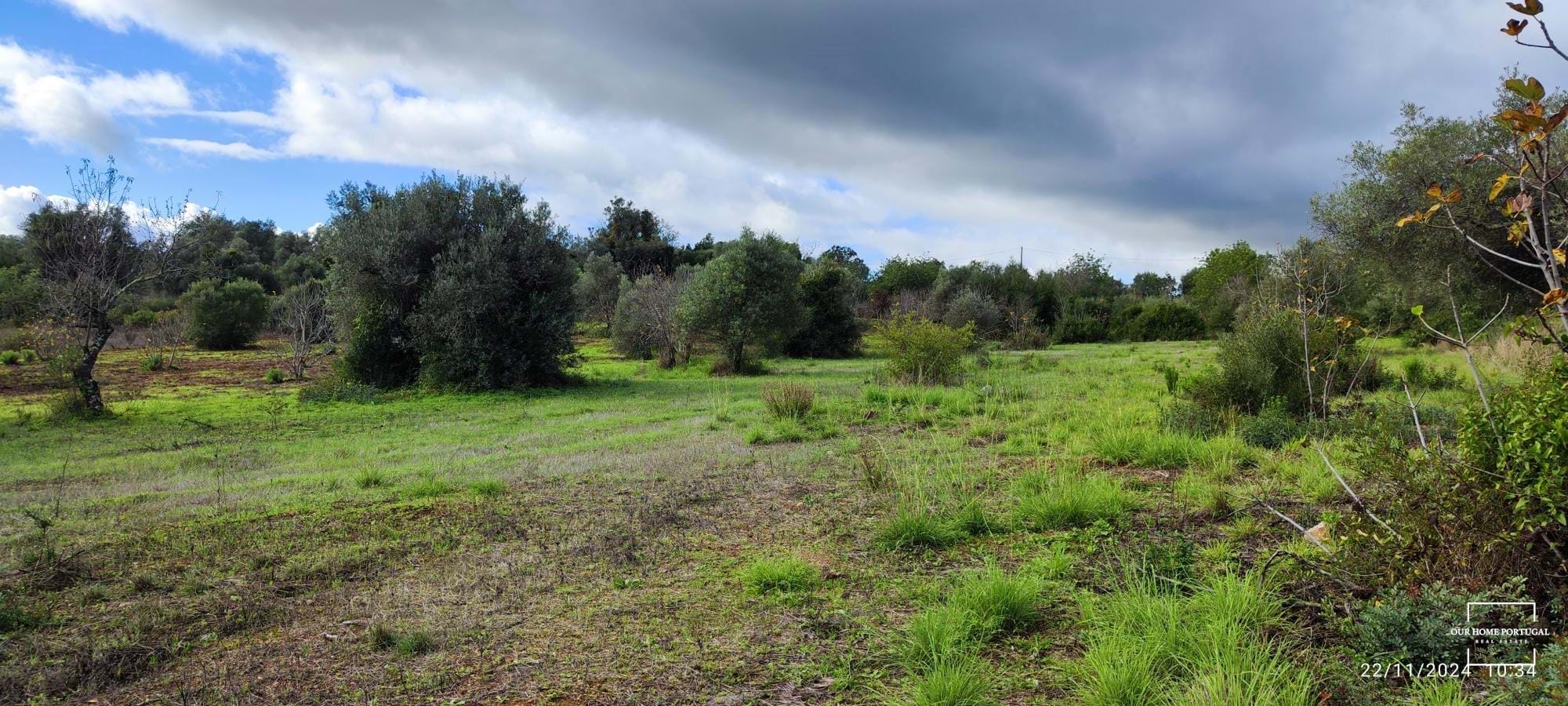 Land, For Sale