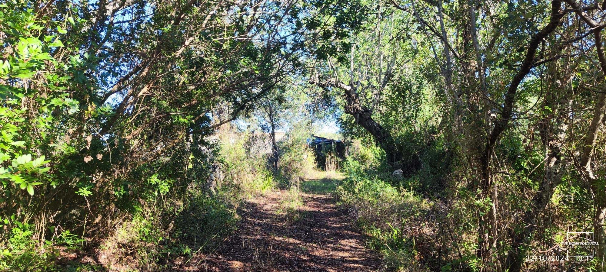 Land, For Sale Land, For Sale