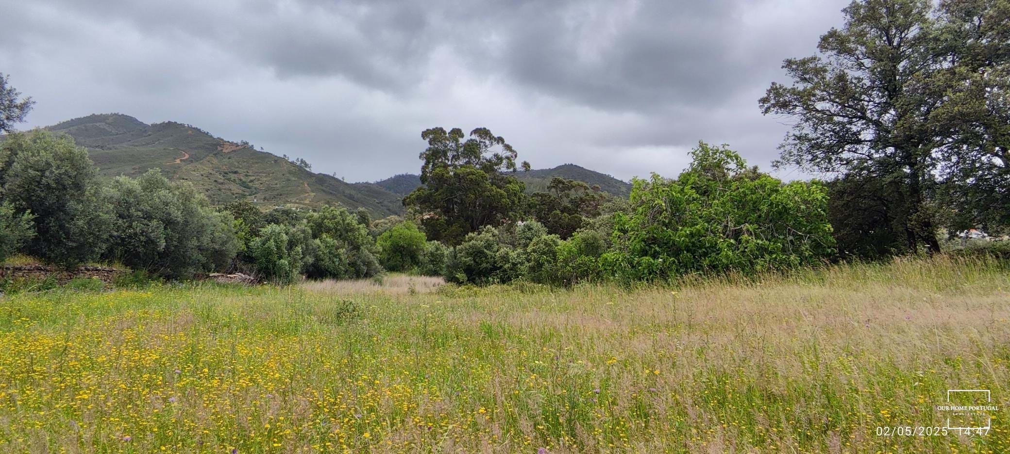 5 Bed, 1 Bath, HouseFor Sale, Loulé, Faro, 8100-202