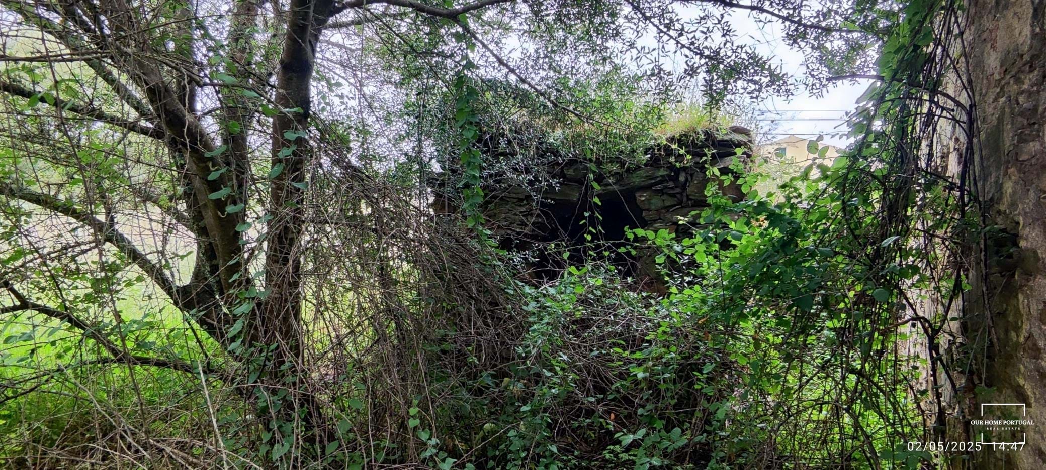 5 Bed, 1 Bath, HouseFor Sale, Loulé, Faro, 8100-202