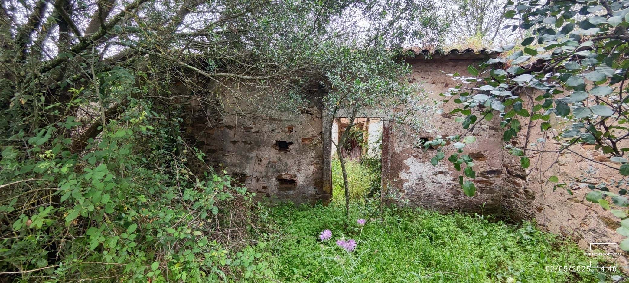 5 Bed, 1 Bath, HouseFor Sale, Loulé, Faro, 8100-202