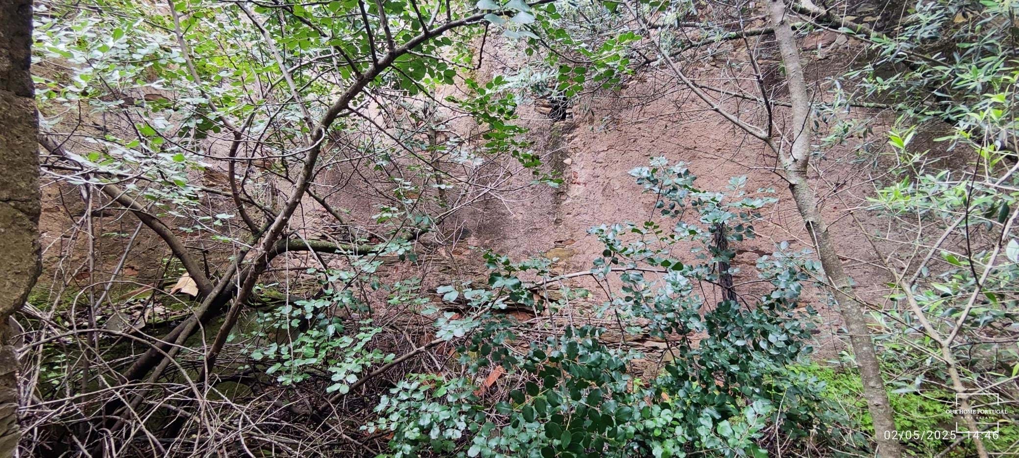 5 Bed, 1 Bath, HouseFor Sale, Loulé, Faro, 8100-202