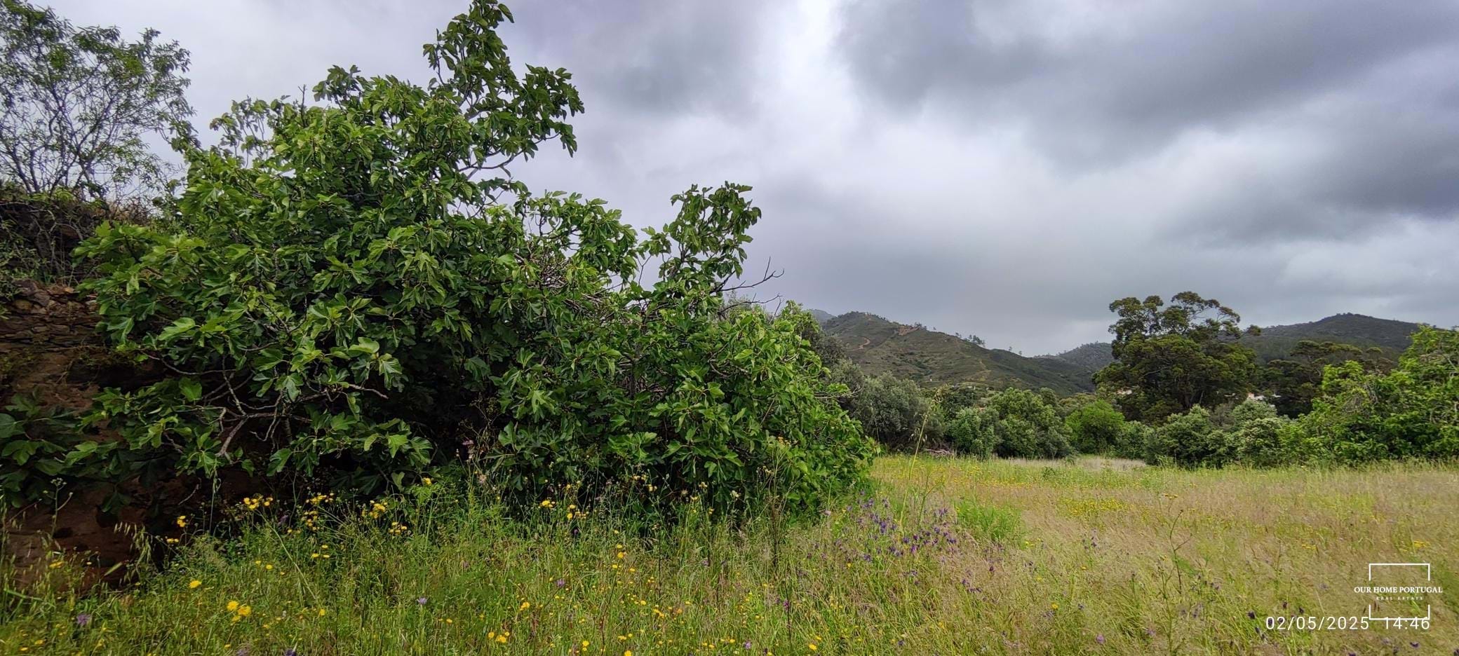 5 Bed, 1 Bath, HouseFor Sale, Loulé, Faro, 8100-202