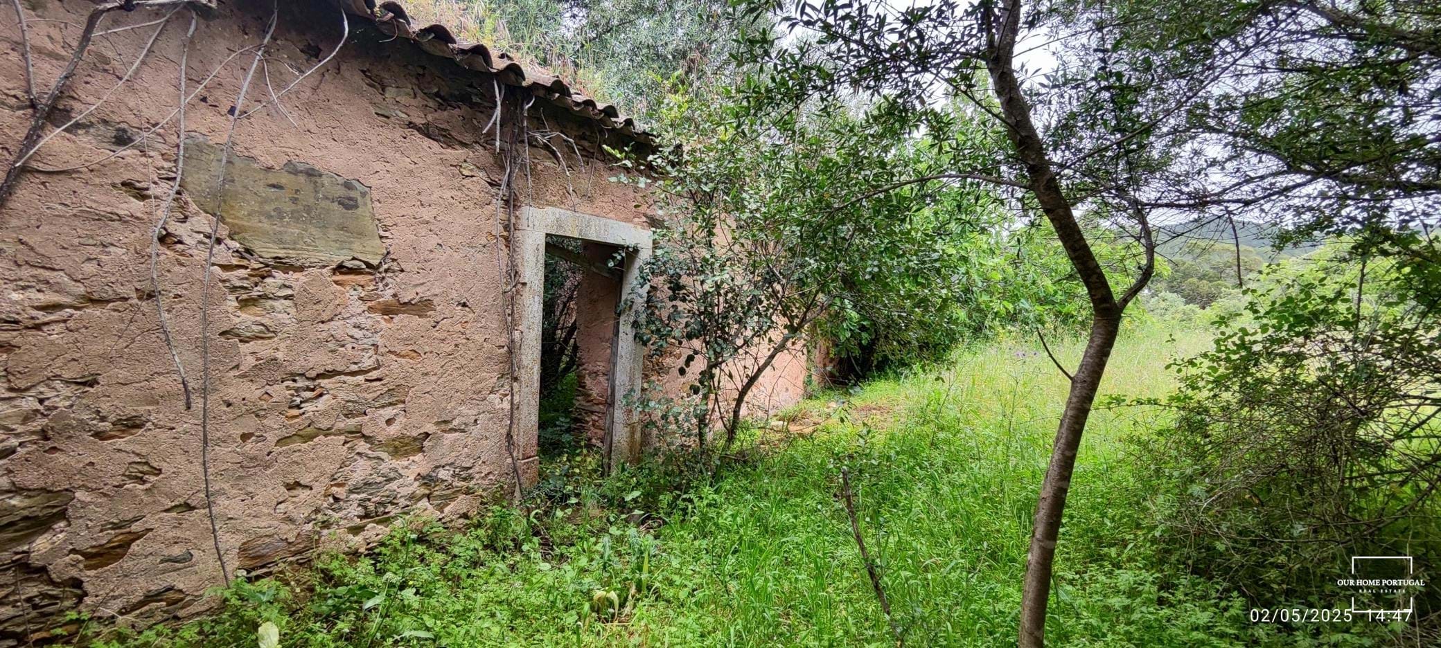 5 Bed, 1 Bath, HouseFor Sale, Loulé, Faro, 8100-202