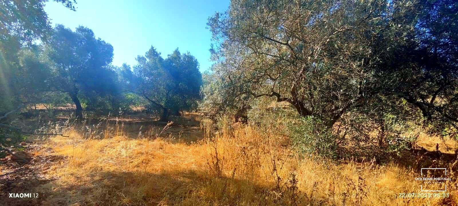 Land, For Sale