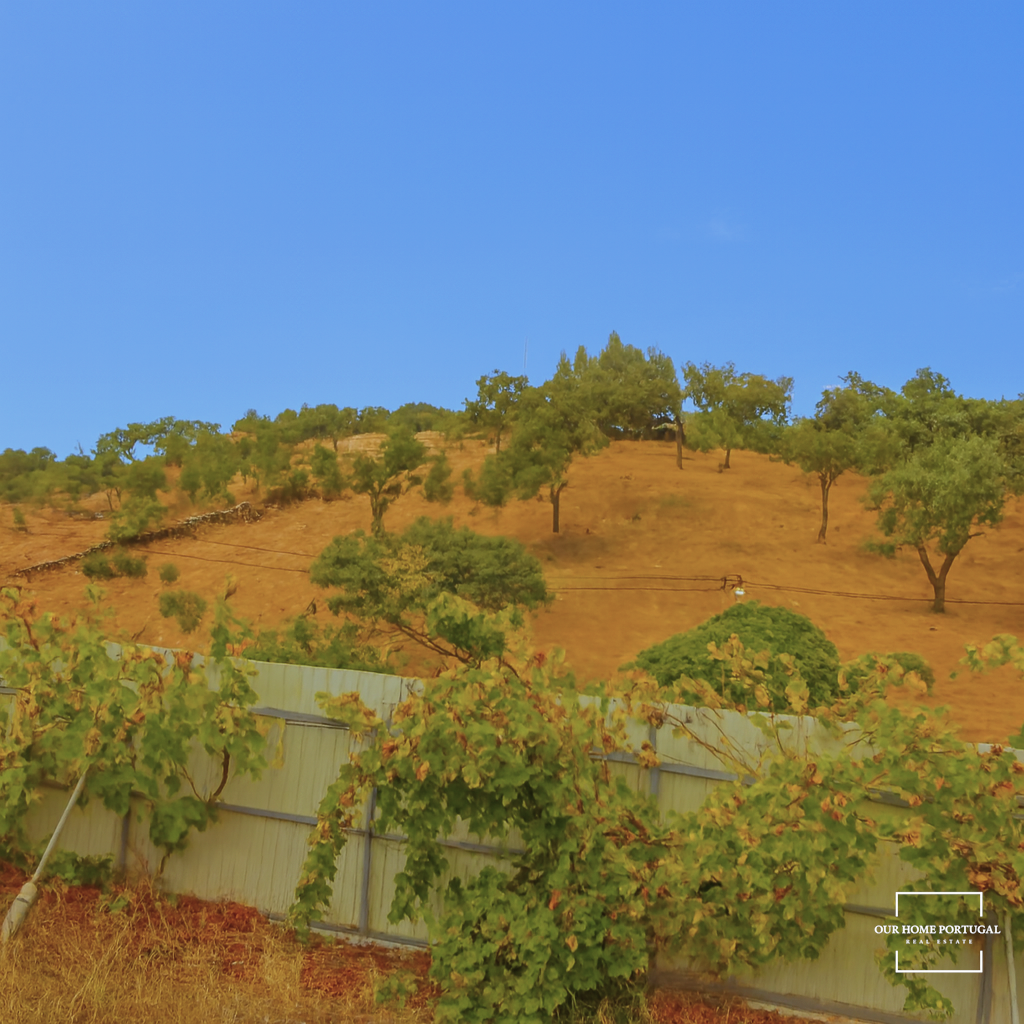 3 Bed, 1 Bath, HouseFor Sale, Loulé, Faro, 8100-183